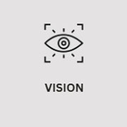 vision